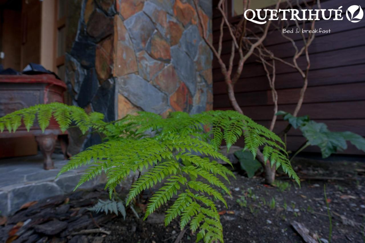 Bed and Breakfast Quetrihue Пуерто-Варас Екстер'єр фото